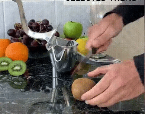 Fruit Juicer Manual Squeezer Stainless Steel